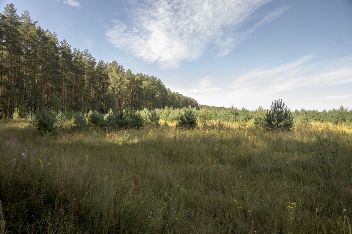 4213829__DSC8385 (700x465, 257Kb)