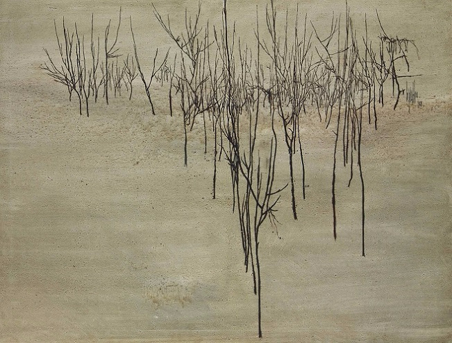 B. Prabha Tutt'Art@ (30) (651x495, 287Kb)
