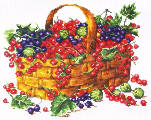 Смородина Stitchart-smorodina (483x384, 274Kb)