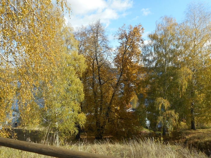 4878453_ples_1060 (700x525, 385Kb)