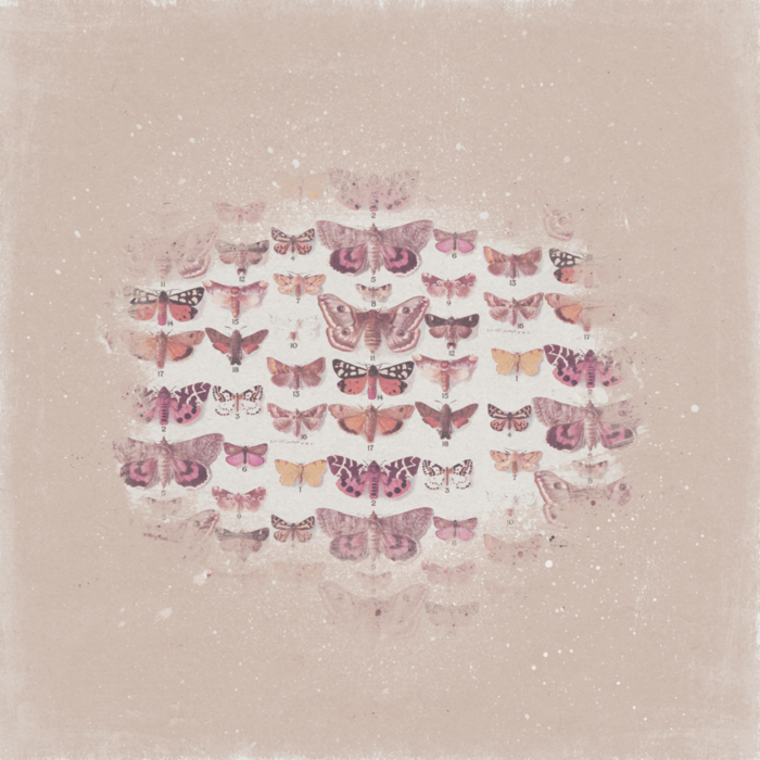 Softly Softly 2 (700x700, 713Kb)