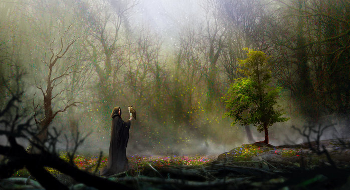 the_dark_kingdom___secret_garden_by_silberius-d8ab12e (700x378, 80Kb)
