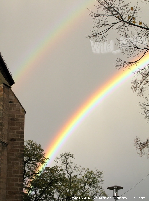 Regenbogen2wz (518x700, 225Kb)