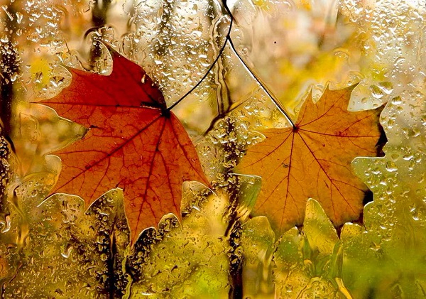 0_d4cf9_43f90468_orig (600x421, 441Kb)