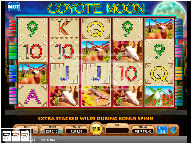 Play coyote moon slot