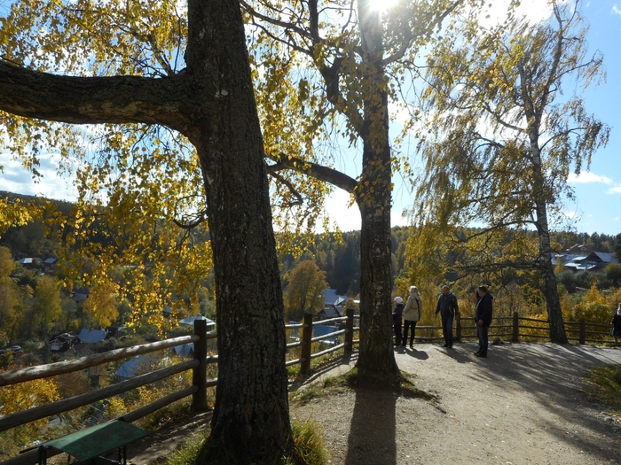 4878453_ples_1077 (700x525, 379Kb)