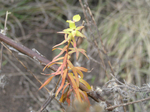  P8100073 (700x523, 472Kb)