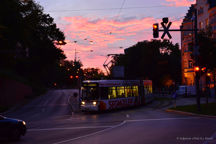 DSC_7220 копия (700x466, 391Kb)