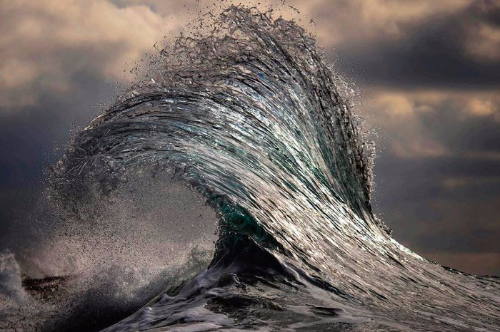 RayCollins1_splash (700x466, 239Kb)