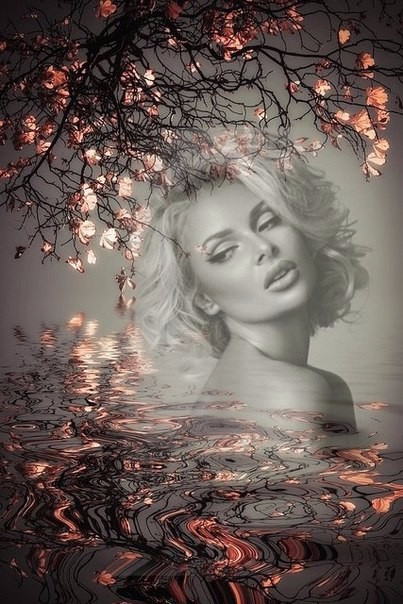 image (2) (403x604, 216Kb)