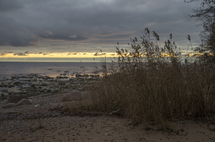 4213829__DSC6918 (700x465, 236Kb)