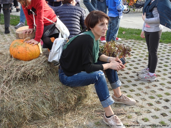 DSCN9521 (700x525, 425Kb)