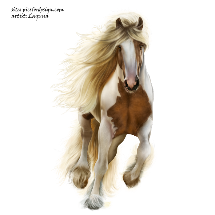 CowgirlAndPegasus17 (699x699, 521Kb)