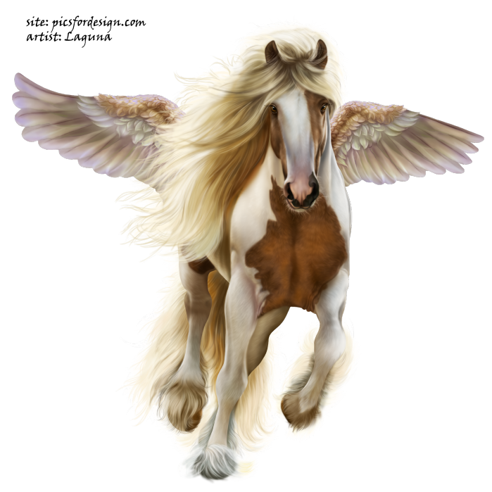 CowgirlAndPegasus19 (699x699, 624Kb)