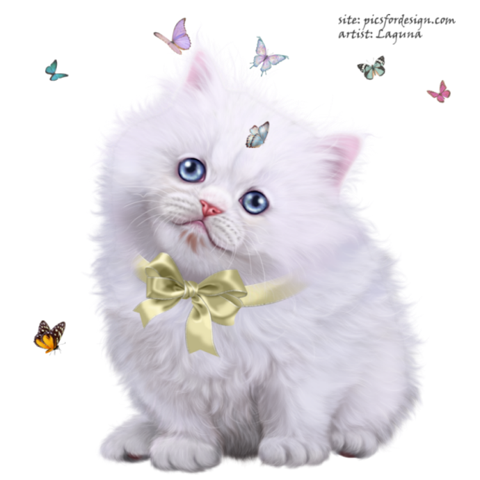 Prettyandherkitty12 (690x690, 555Kb)
