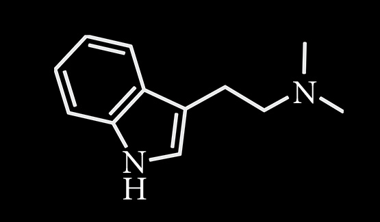 dmt (555x325, 15Kb)