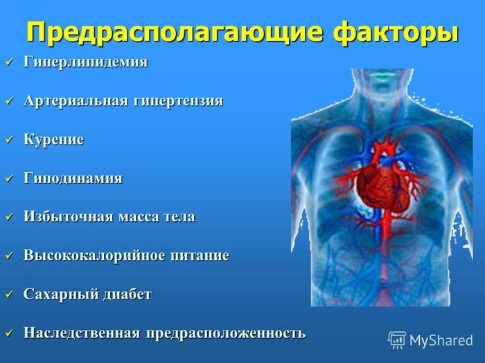 Признаки артериального течения