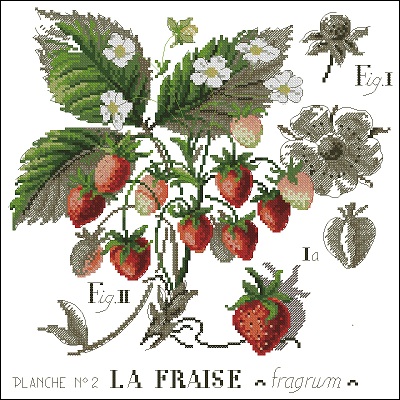 les-brodeuses-parisiennes-letude-aux-fraises (400x400, 89Kb)
