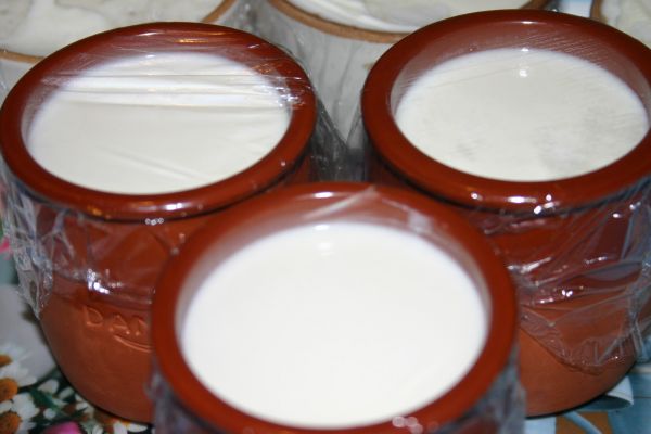 Йогурт в домашних условиях Йогурт в домашних условиях