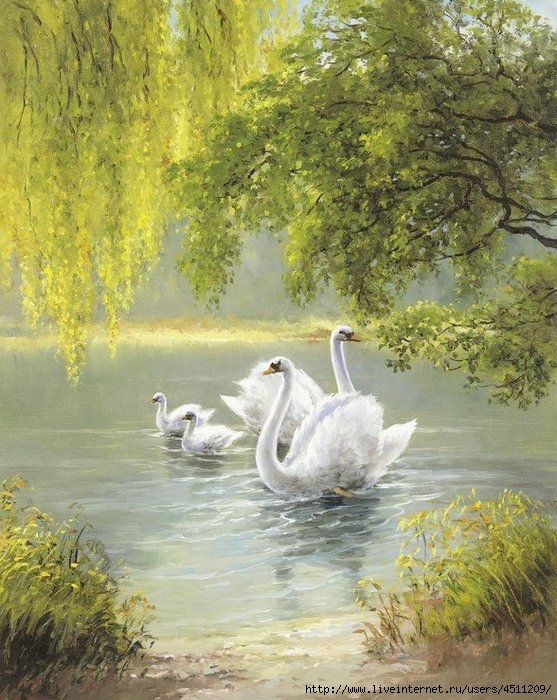 картины художников -  лебеди-1 (557x700, 287Kb)