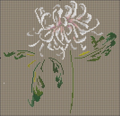 DMC-Chrysanthemum (469x452, 161Kb)