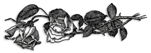 0_1be31e_1abd6942_orig111 (500x176, 136Kb)