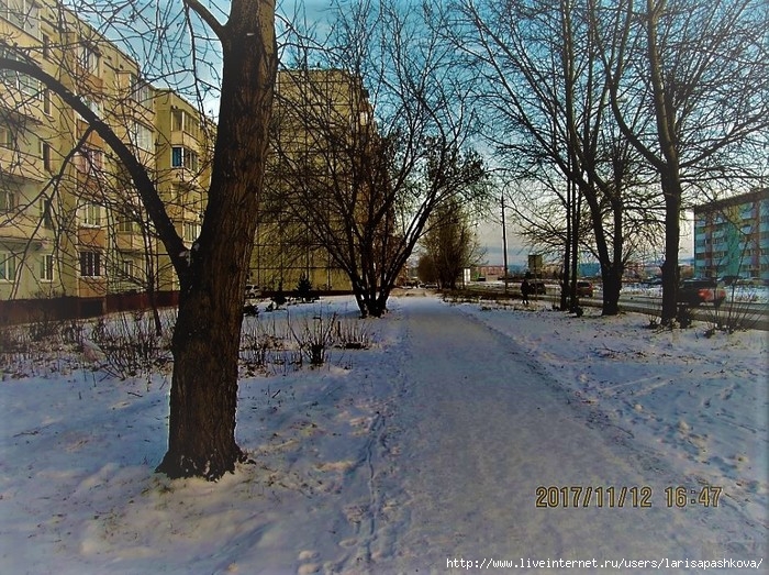 3924376_moroz_v_sharypovo_12_11_2017_6 (700x523, 365Kb)