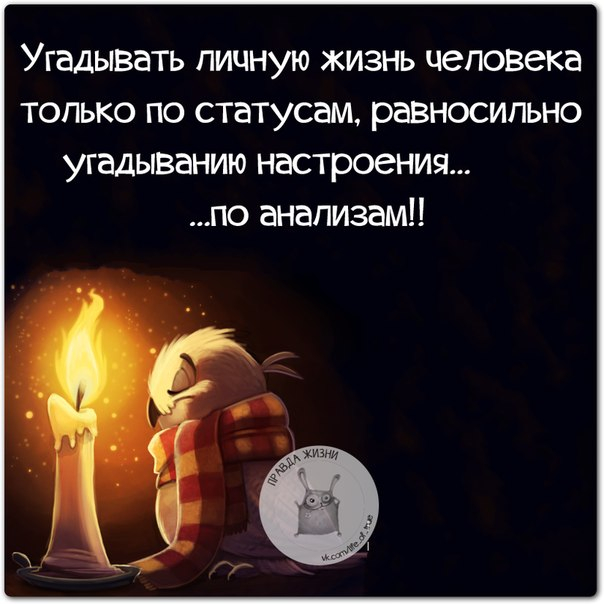 Цитаты о жизни прикольные в картинках, днем рождения