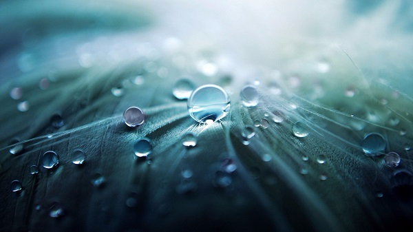 296026121 (600x337, 161Kb)