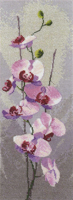 Stitchart-Orchid-Panel0 (255x700, 259Kb)
