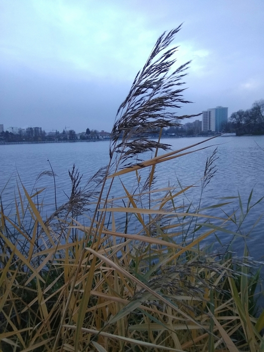 4052195_IMG_20171113_175024 (525x700, 271Kb)
