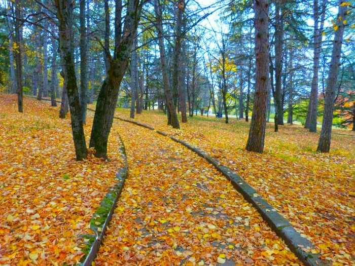 �7 (700x525, 667Kb)