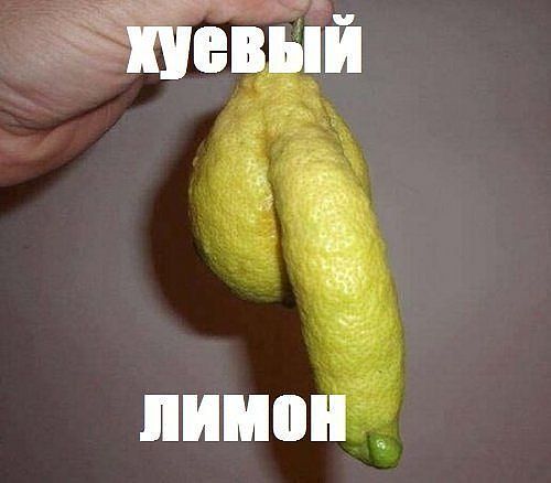 !   (500x438, 27Kb)