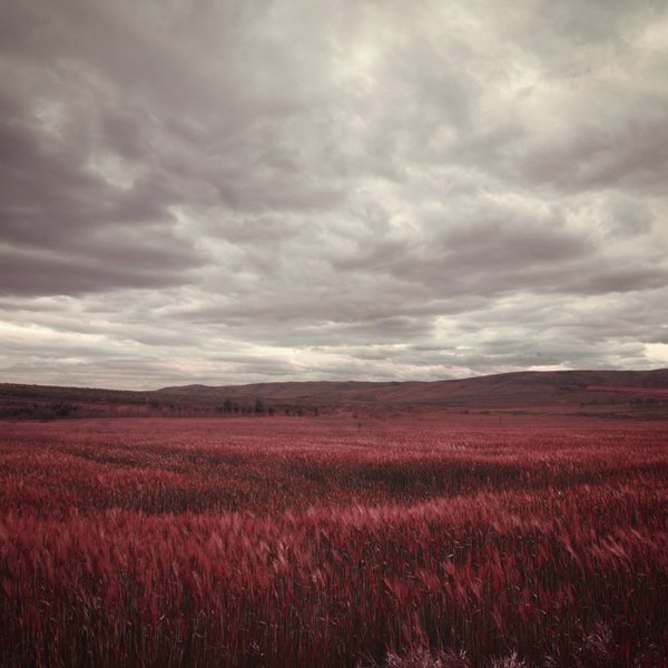 C-ePIPYWsAAzCSr (600x600, 51Kb)