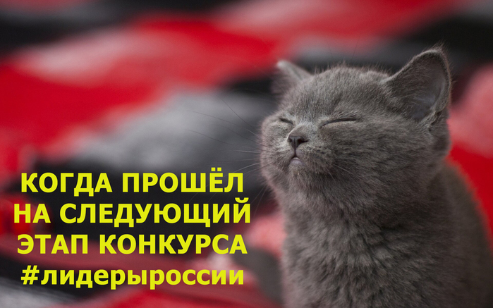 # (700x437, 252Kb)