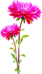 5635559_0_1b492f_324f09a7_S (109x150, 23Kb)/5635559_0_2d7b8a_efd2aa18_S (86x150, 18Kb)