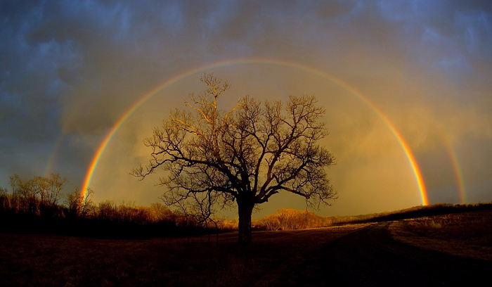 rainbow_elam_3-700 (700x408, 285Kb)