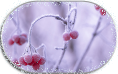 ryabina-iney-moroz (240x150, 55Kb)