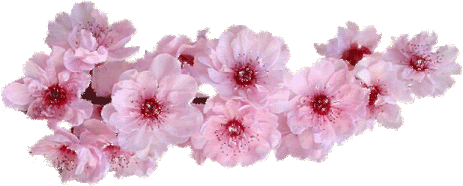 0_12600f_b4cee36b_XL (463x186, 126Kb)