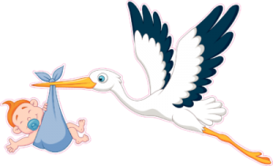 stork_PNG9 (300x183, 39Kb)