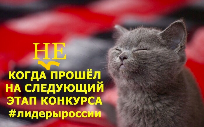IMG_7317 (699x437, 89Kb)