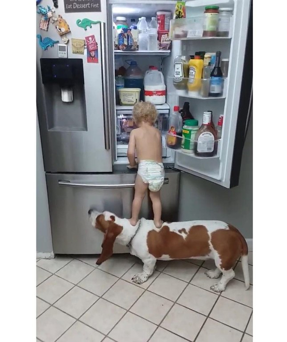  (587x700, 264Kb)