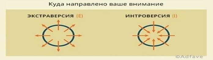 Ответьте честно на 4 вопроса и получите самую точную оценку своей личности!