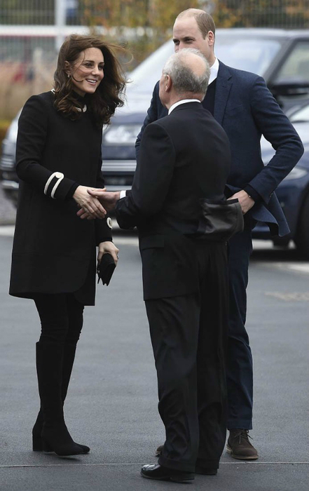 will-kate-jaguar-22nov17-02 (441x700, 218Kb)