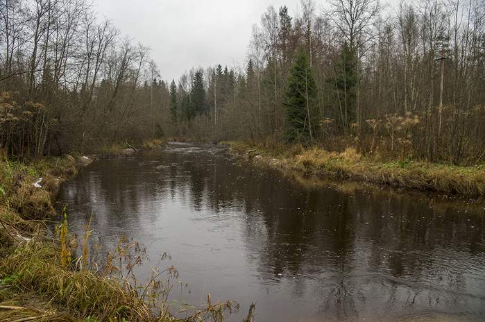 4213829__DSC9168 (700x464, 405Kb)