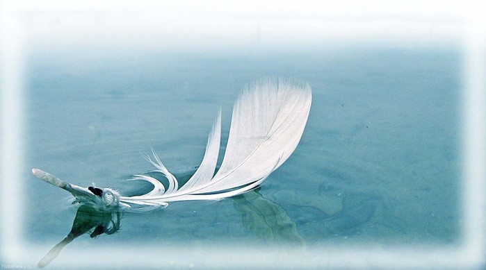 440 (700x389, 45Kb)
