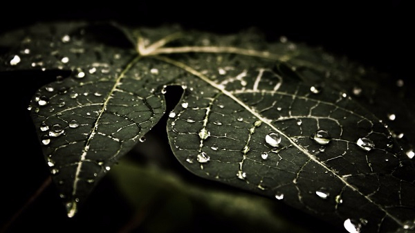 _20750-1024x576-MM-90 (600x337, 153Kb)