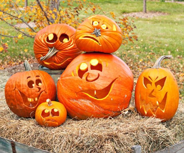 0c243e9a74b5e0c989d9de54b4534268--funny-pumpkins-halloween-pumpkins (640x533, 77Kb)