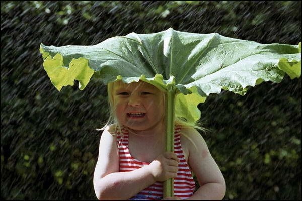 131256_kompaktnyy-zontik-na-golov (600x400, 134Kb)