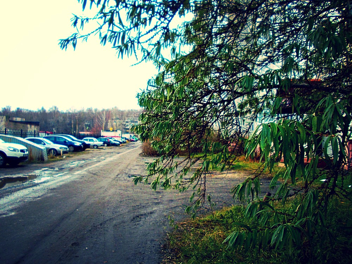 photofacefun_com_1511043551 (700x525, 590Kb)